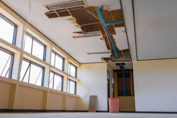Best Water damage cleanup near me  in Cobden, IL