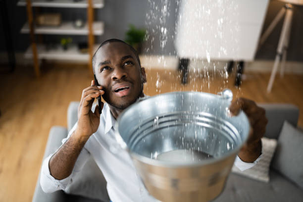 Best Water damage repair service  in Cobden, IL