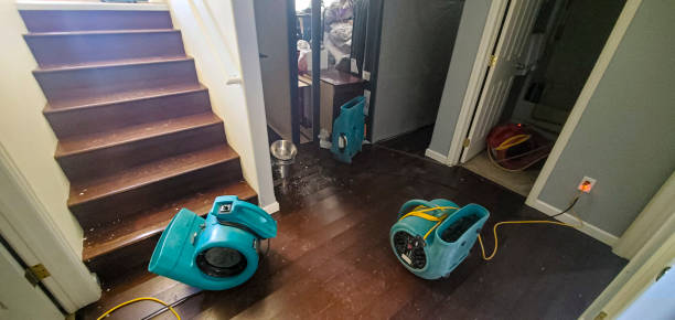 Best Commercial water damage restoration  in Cobden, IL