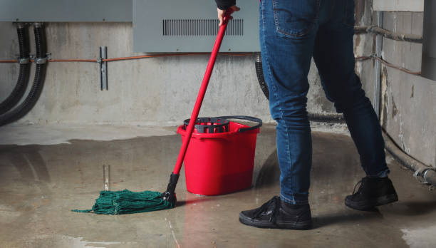 Best Local water damage restoration  in Cobden, IL
