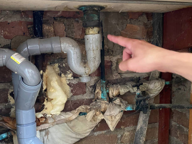 Best Water damage mitigation services  in Cobden, IL
