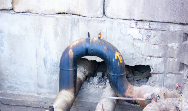 Best Flooded house restoration  in Cobden, IL
