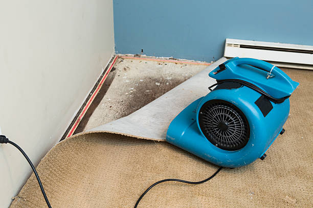 Best Fire Damage Restoration  in Cobden, IL